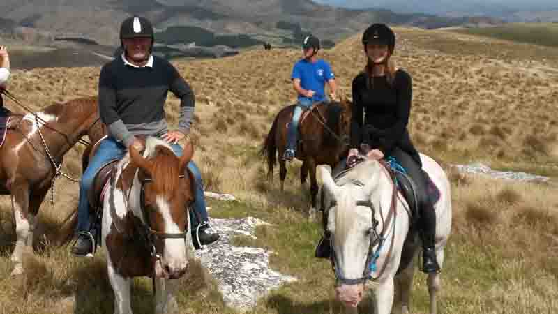 Weka Pass Horse Treks is nestled amongst beautiful farmland less than an hour from Christchurch city. They provide top-notch tutors and guides, to give you a fun, safe trekking environment for you, family and friends.